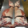 /product-detail/halal-frozen-lamb-carcasses-for-export-62003027013.html