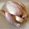 HALAL FROZEN WHOLE CHICKEN AND PARTS.