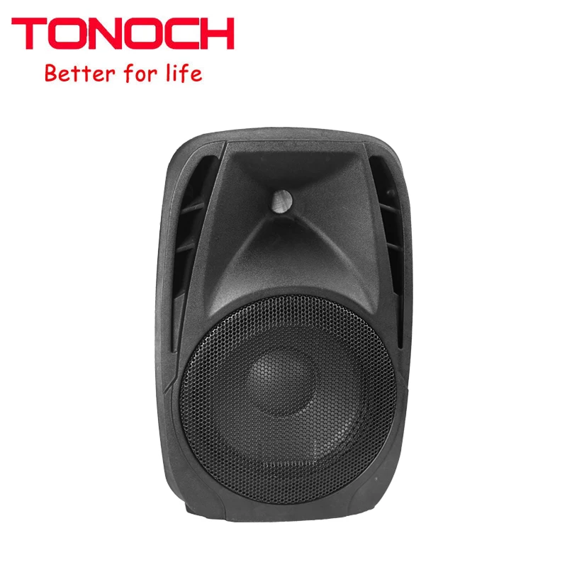 Active Rechargeable 8 inch Multimedia Power Amplifier Module Outdoor Built-in Battery for active speaker - ANKUX.COM