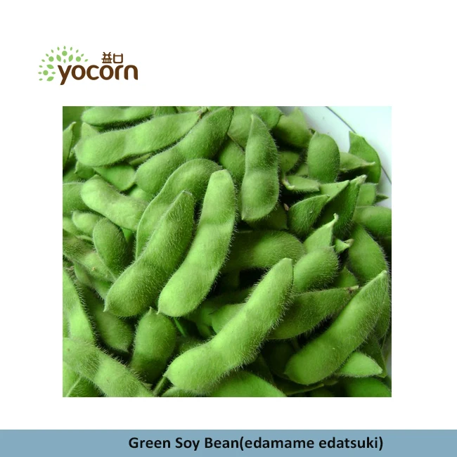 green-soy-bean9