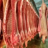 /product-detail/halal-fresh-lamb-frozen-meat-of-beef-cow--62003099069.html