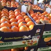 Organic Orange delicious fresh navel oranges