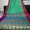 Silk Cotton Designer Handloom Saree
