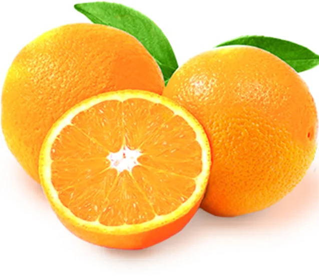 top quality valencia oranges, naval oranges