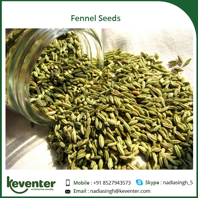 best quality natural and fresh fennel seed for wholesale buyers