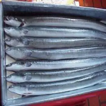 Fresh Frozen Eel Fish Buy Price For Eel Fish Frozen Flying Fish Smoked Eel Fish Product On Alibaba Com