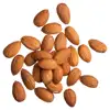 /product-detail/almond-kernels-good-quality-almond-nuts-almond-without-shell-62002671311.html