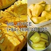/product-detail/hight-quality-canned-jack-fruit-in-light-syrup-with-competitive-price-50037868238.html