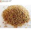 /product-detail/best-quality-alfalfa-seeds-for-growing-animal-feed-grass-50035764445.html