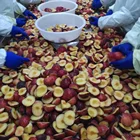 Freezing Delicious Frozen Black Fruits IQF Plum