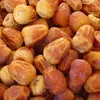 Egypt date for Saudi Arabia by best quality best price