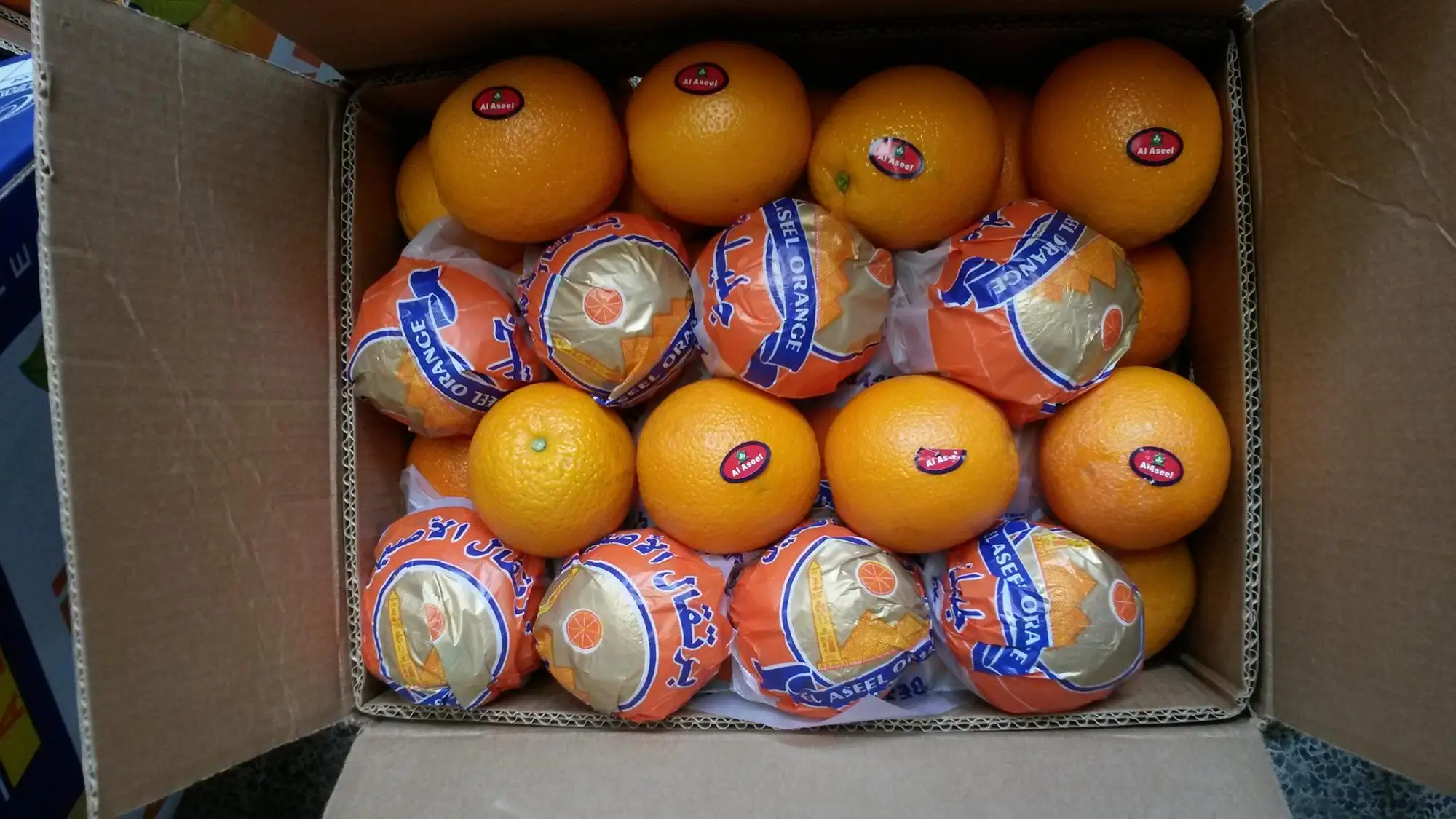 20150326_103627.jpg