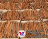 Spice Saigon Cinnamon Cassia Sticks