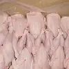 Frozen Halal Whole Chicken without head,neck,liver,feet