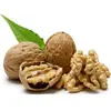 /product-detail/hot-selling-walnuts-kernel-with-low-prices-walnut-without-shell-walnut-kernel-at-competitive-prices-50036979119.html