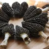 /product-detail/fresh-morel-mushroom-price-of-black-morel-bulk-dry-black-morel-mushrooms-62005647702.html