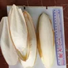/product-detail/viet-nam-dried-cuttle-fish-bone-with-best-price-and-high-quality-62008263273.html