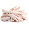 High Quality Halal Frozen Chicken Paws