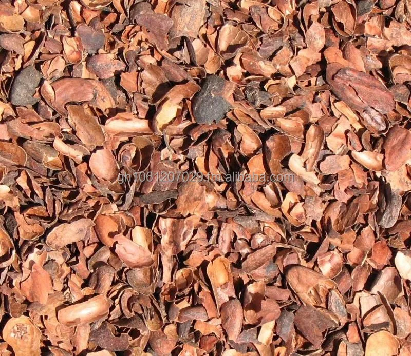 COCOA BEANS SHELL
