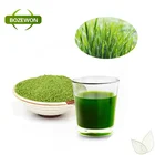 High quality Organic barley grass powder barley grass juice powder