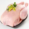 /product-detail/halal-frozen-whole-chicken-from-brasil-suppliers-50043532388.html