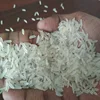 /product-detail/from-india-wholesale-price-of-pr11-white-sella-non-basmati-rice-50037406153.html