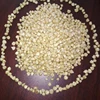 /product-detail/animal-feed-feed-grade-yellow-maize-corn-white-corn-for-animal-feed-50039693603.html