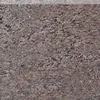 300x600mm Cut To Size Granite Tiles Icon Brown 20mm Thickness Polished Kitchen Counter Top