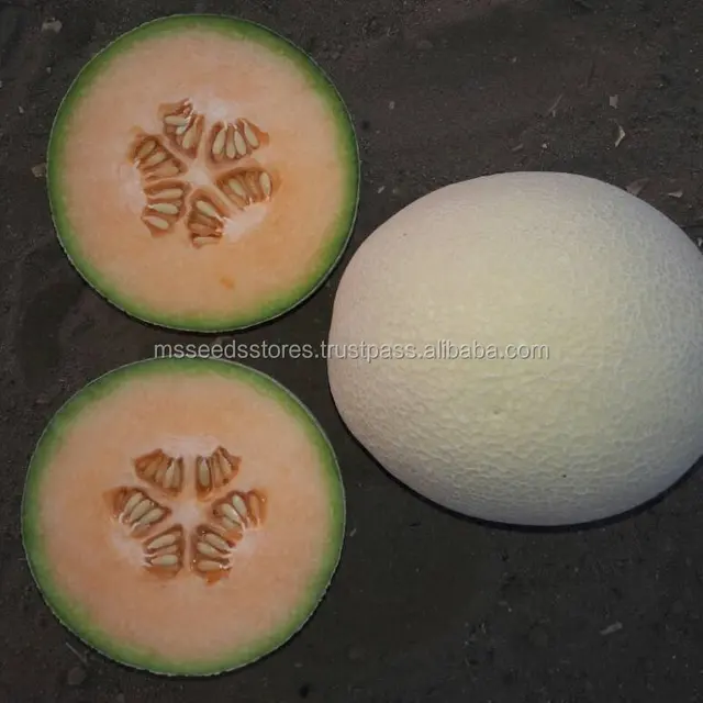 musk melon seeds