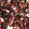/product-detail/high-quality-fresh-tamarind-tamarind-seeds-tamarind-paste-for-sale-on-sales-50041110986.html
