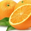 citrus,citrus fruit,name all citrus fruits