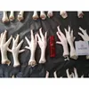 /product-detail/healthy-haccp-chicken-feet-paws-import-50043635928.html