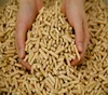/product-detail/rice-husk-pellets-factory-price-62002657232.html