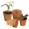 Beautiful Coconut Fiber Coir Pot/Pot Basket for Gardening