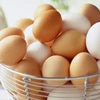 528 eggs automatic egg incubator price india/chicken egg hatchine machine