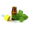 Peppermint Essential Oil Suppliers For Aromatherapy