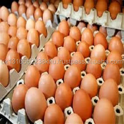 Fresh Farm eggs