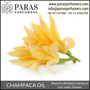 michelia champaca essential oil