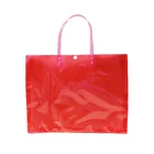 Wholesale OEM multi-color plastic handbag for book packaging