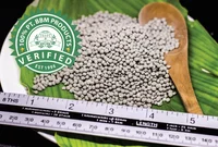Natural Green Zeolite Granular Ball Pellet