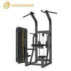 Commerciële gym hoge kwaliteit apparatuur Body Building Dip/Chin Assist sport apparatuur fitness Thuis Machine
