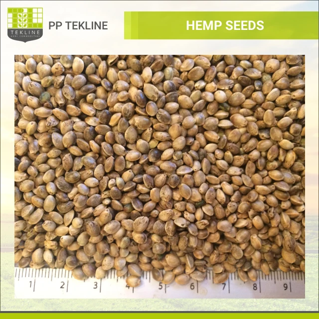 raw hemp seeds