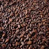 /product-detail/best-quality-dried-cocoa-beans-for-sale-62000012485.html