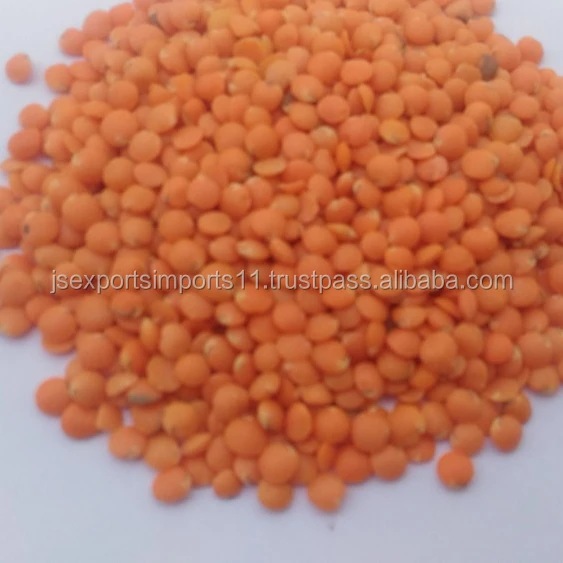 red lentil exporters