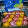 EGYPTIAN ORANGES WITH COMPETITIVE PRICES AND HIGH QUALITY(8-15) KG CARTOON