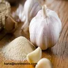 /product-detail/white-garlic-in-vietnam-50036191747.html
