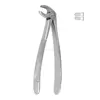 /product-detail/professional-quality-stainless-steel-dental-tooth-extracting-forceps-no-22-50044629681.html