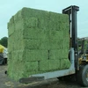 /product-detail/wholesale-100-pure-alfalfa-hay-variety-and-bales-packaging-high-quality-alfalfa-hay-for-sale-50042502792.html