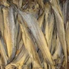 Dried Stock Fish / Stock fish & Cod heads