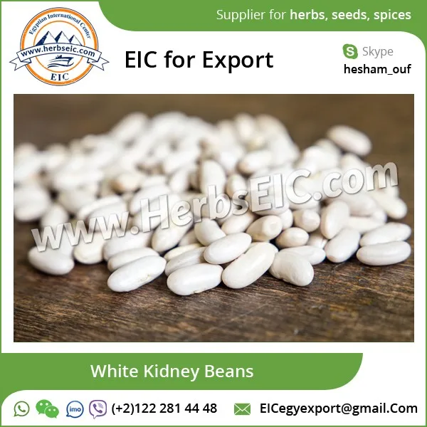 product name: dried price of white kidney beans, white beans
